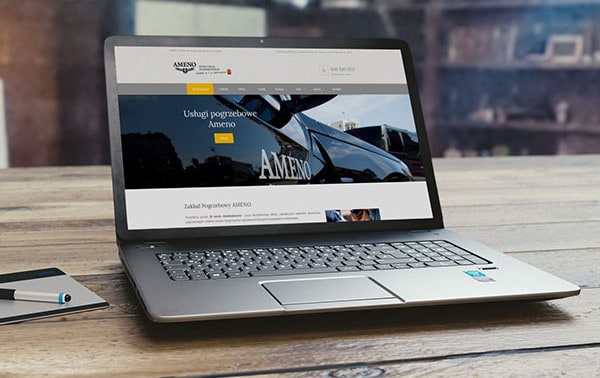 Realizacja Brainbox: Ameno
