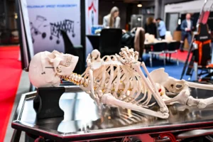Necroexpo 2026 - dzień 2