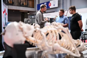 Necroexpo 2026 - dzień 2